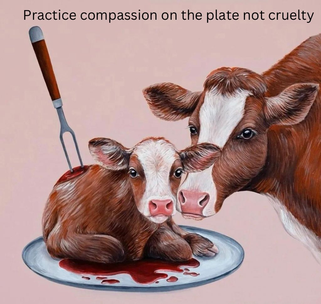 Practice compassion on the plate not cruelty, adopt a plant based cruel free lifestyle & end animal suffering #GoVegan #StopAnimalCruelty #RespectAnimalRights #PracticeKindness #AnimalVoice #AllLivesMatter #ChooseCompassion