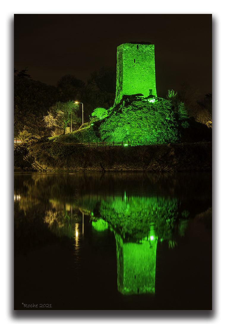 DecRoche12's tweet image. From a few years ago #StPatricksWeekend #Wexford