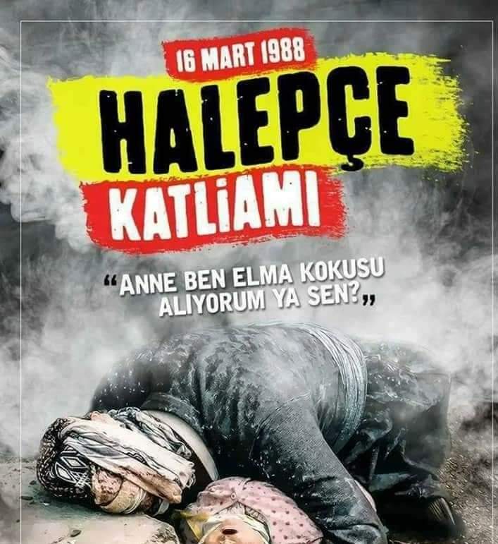 Kamber Ateş (@59kamber) on Twitter photo 