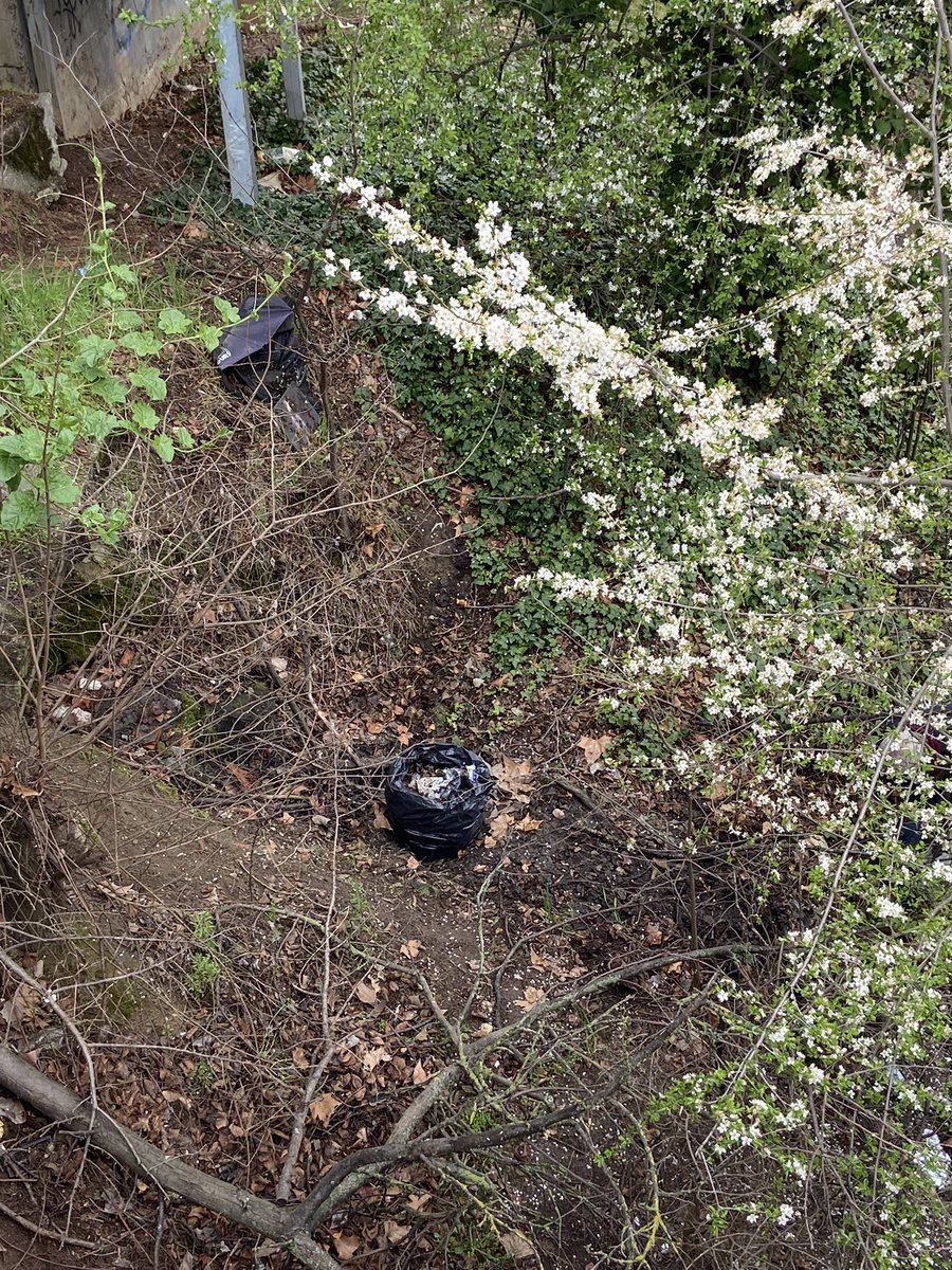 vegnelastcreed's tweet photo. Hoy volviendo del trabajo me e encontrado este señor mayor recogiendo basura del rio, manda narices que alguien que podría ser tu abuelo tengo que hacer esto porque la gente no respeta nada #palencia https://t.co/vkm6JEbVZA