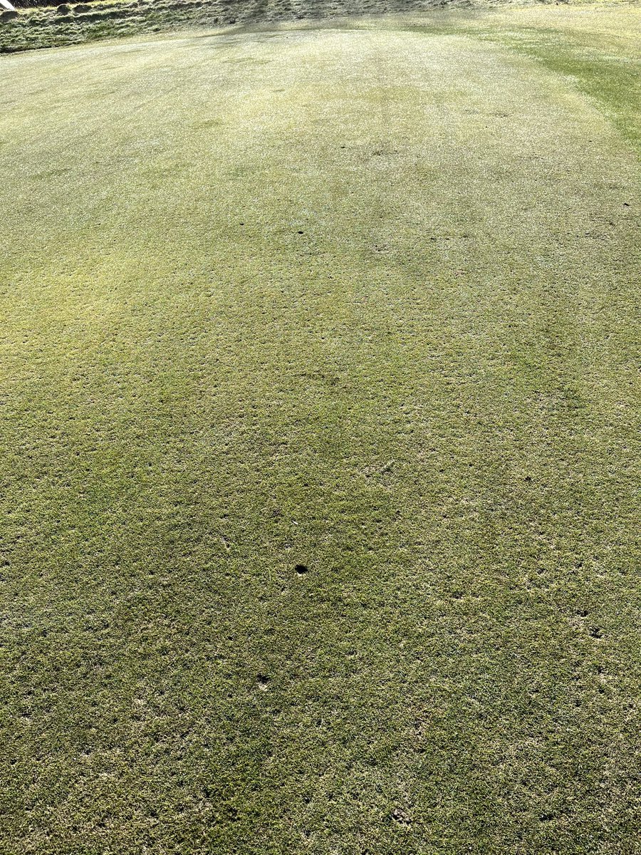 Lorne Brown tweet media