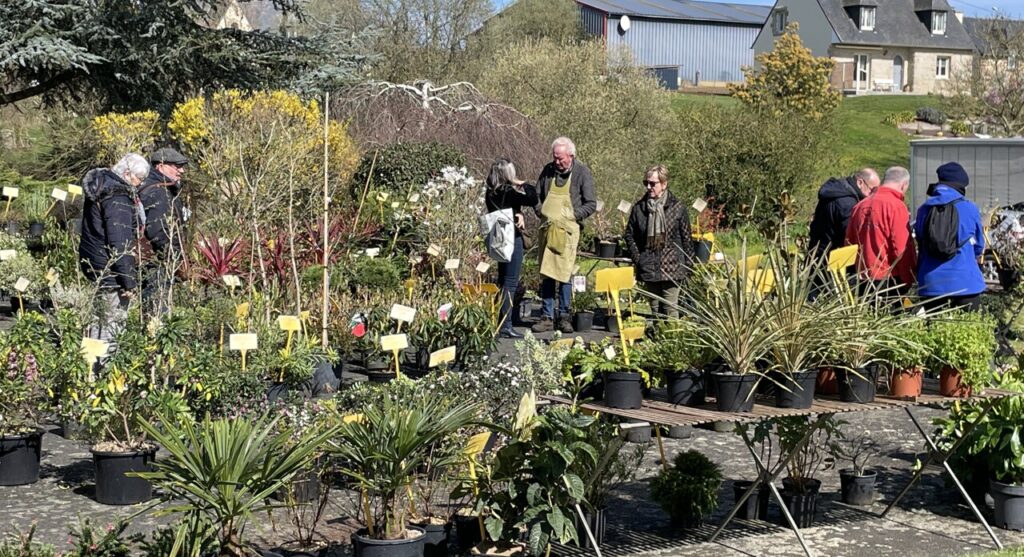 BasseCourFr's tweet image. Le marché aux plantes d'Andel dimanche 17 mars : 65 exposants, 25e édition. Des milliers de visiteurs attendus. Tradition et floraison garanties ! 🌸🌿 #Andel #MarchéAuxPlantes #Tradition