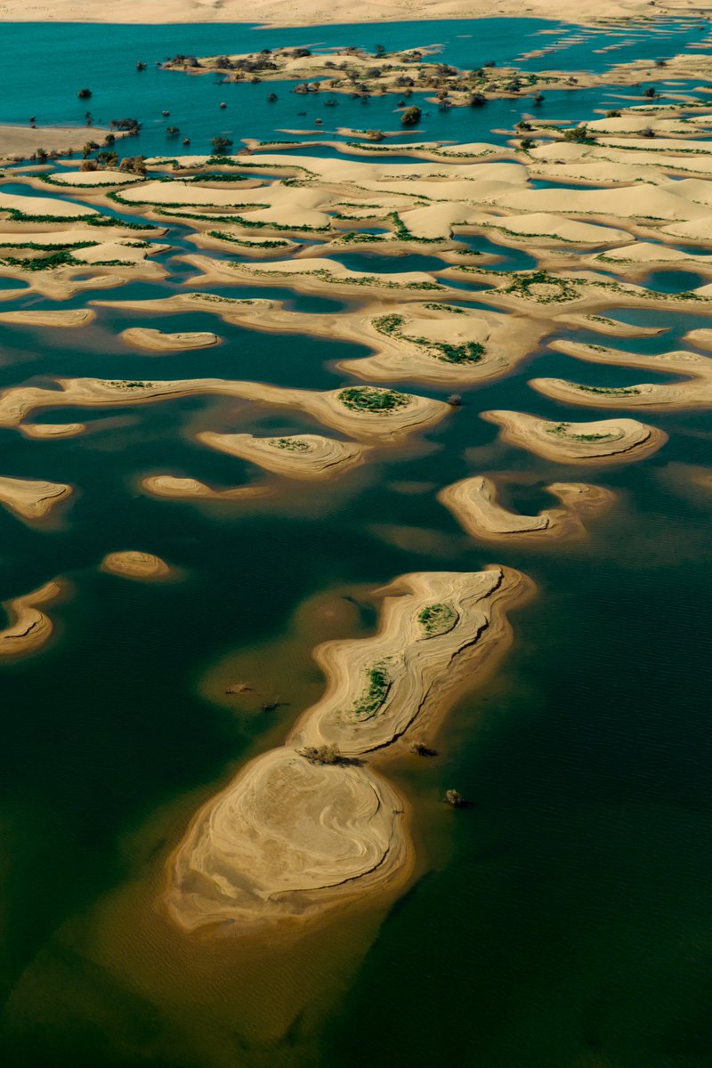 GiulioAprin's tweet photo. Good Morning 🏝️ 

Lake Dunes on ExchangeArt
my first 1/1 on SOL https://t.co/IemvOmsJzT