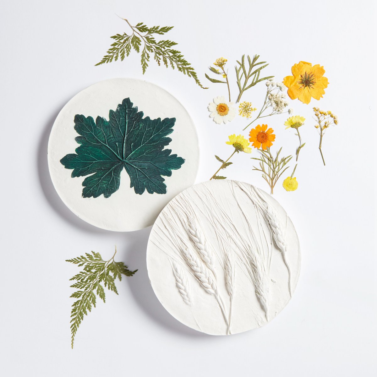 #Botanical #Casting #Workshop - Sat 23 March Create 2 unique tiles using a selection of fresh & dried seasonal foliage & flowers. Learn techniques for working with clay, composition, how to mix pigment & pour eco resin. No previous experience required fortyhallestate.co.uk/whats-on/botan…