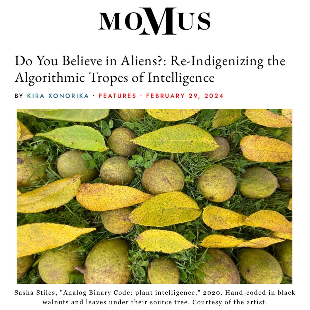 recommended weekend reading: this fascinating and thoughtful essay by @xonorika on AI and indigenous perspectives in @MomusArt. thanks, kira, for including my work. momus.ca/do-you-believe…