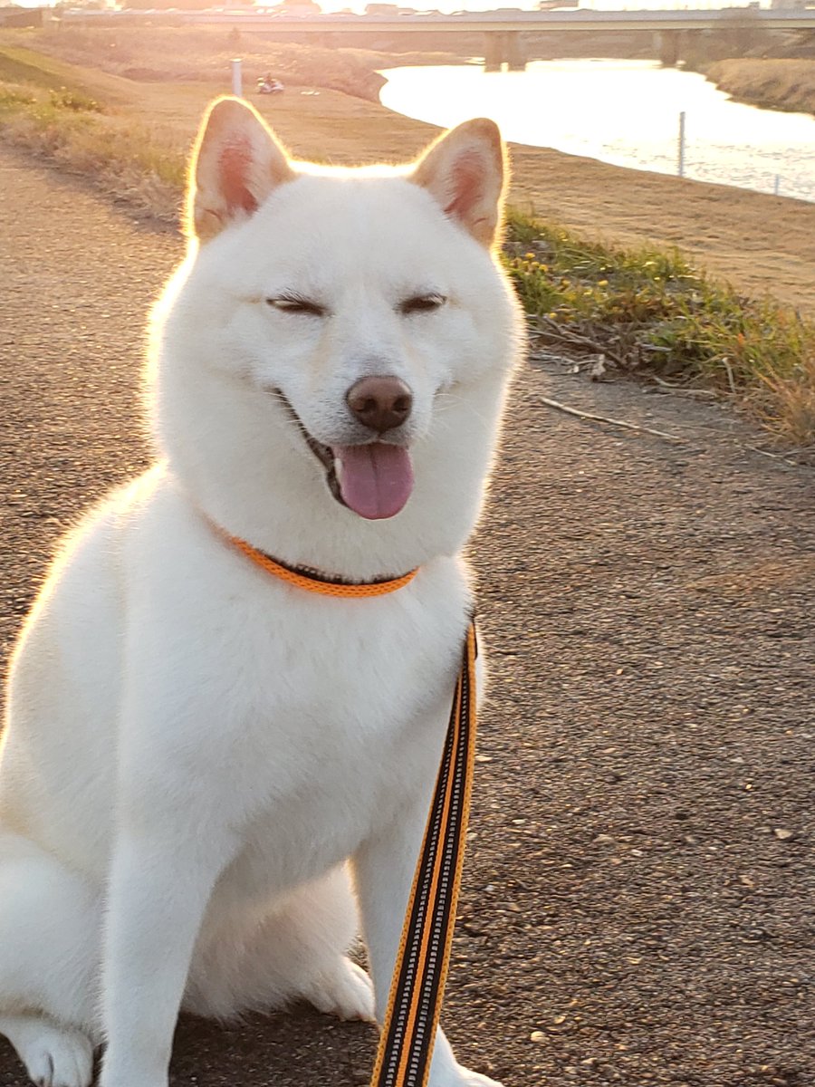 Luna45068424's tweet image. ドラゴンボールのカリン様？(笑)