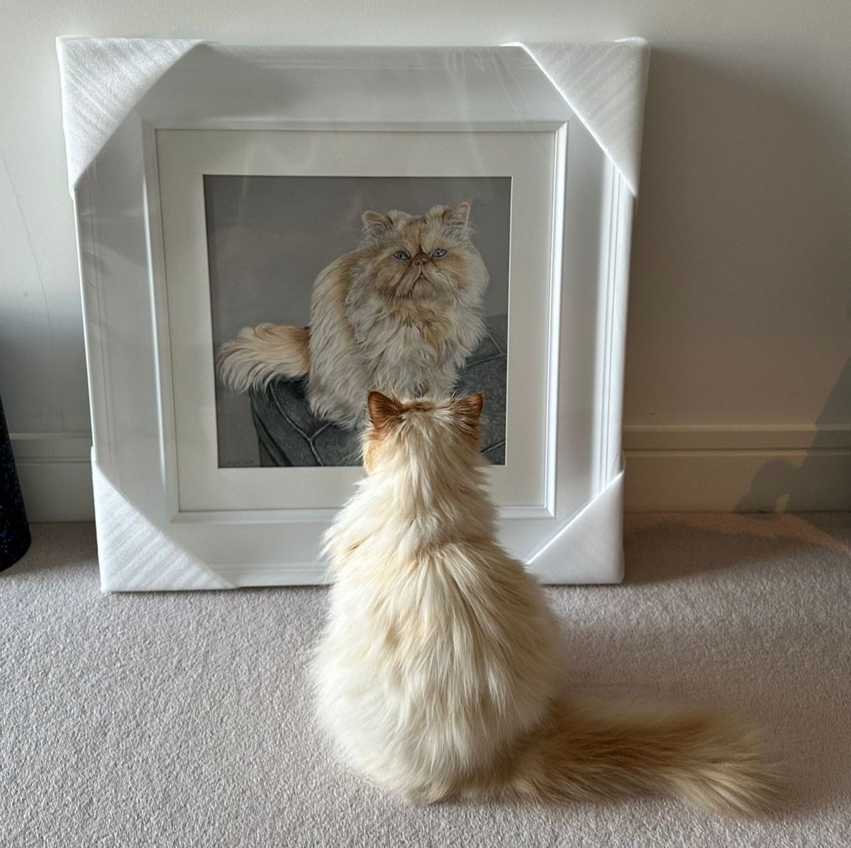 Receiving a photo like this truly makes my job as an artist so utterly special. Here's beautiful Winky admiring his pastel portrait in an exquisite choice of frame. @winkythelovelycat #catportrait #petportraitartist #pastelportrait #art #drawing