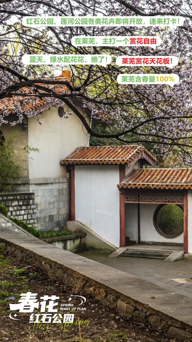 NewLaiwu's tweet image. Hey there! 🌸 Ready for a fun spring outing in #Laiwu? 🌼 Check out your invitation now and get ready to have a blast! 🌞 #SpringOuting #LaiwuSpring #AdventureAwaits 🌺🌿🎉