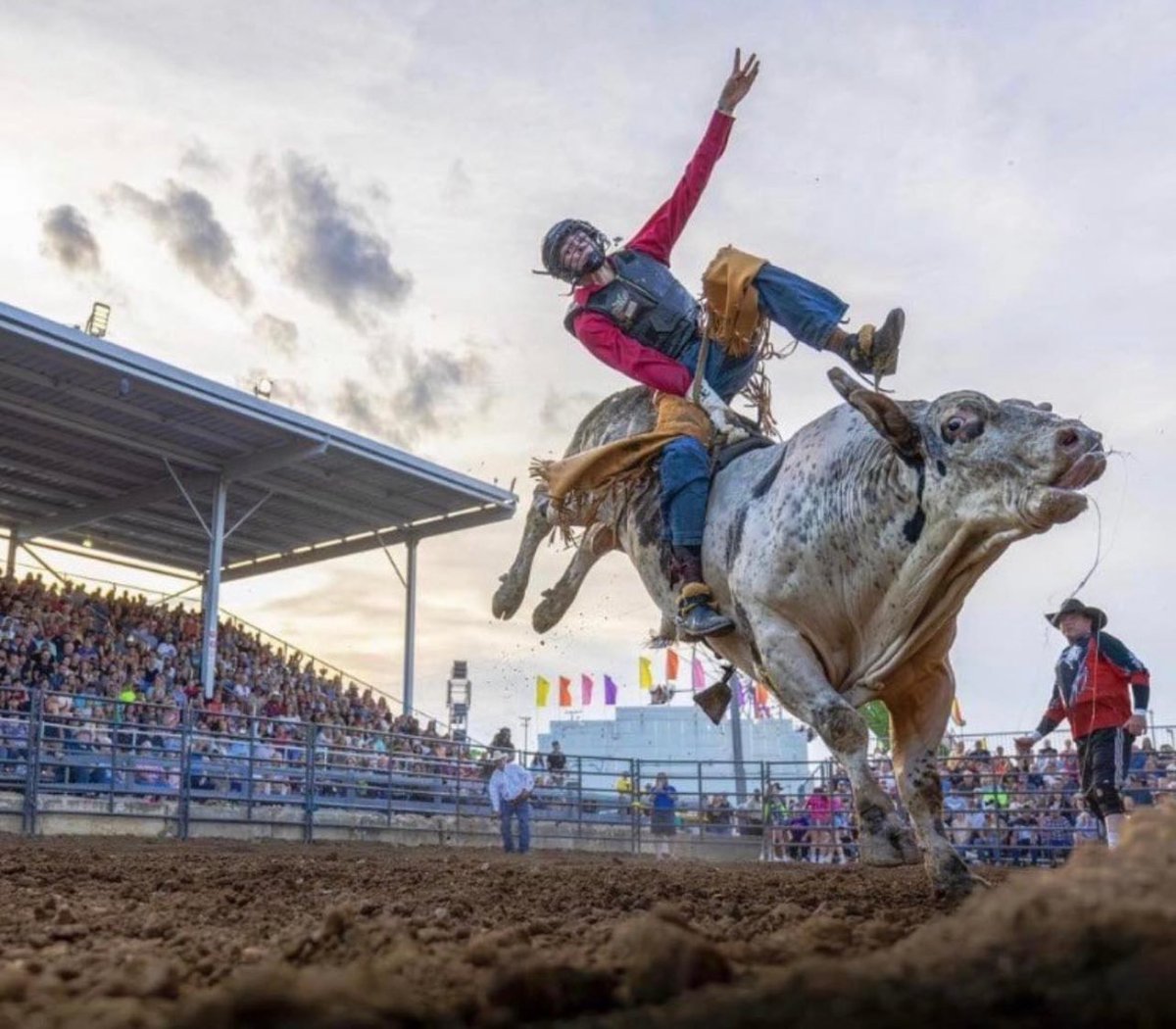 Tuff Hedeman tweet media