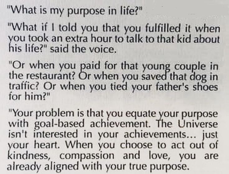 sovrnstudio's tweet image. 🍄‍🟫🤍