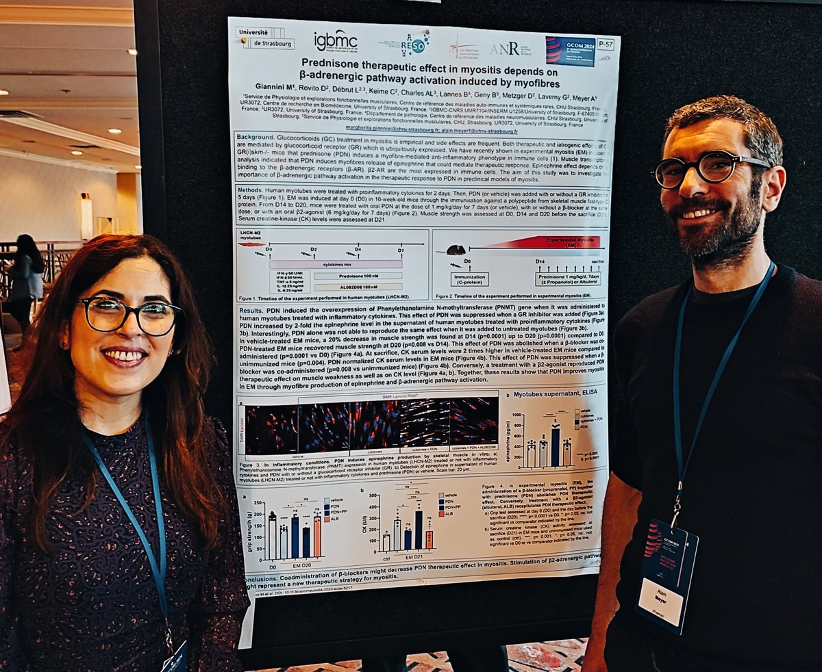 giannini85's tweet photo. Very glad to have presented our research works at #GCOM24 in Pittsburgh! @Myositis_Stras @CHRUStrasbourg @CRBS_Strasbourg Thanks to all team members and collaborators! https://t.co/JdB8m3tFZf