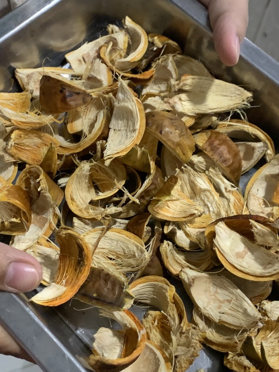 yodane_'s tweet photo. tungkol sa betel nut ung post tas walang betel nut #bobolang https://t.co/rZ4kcmLd4A