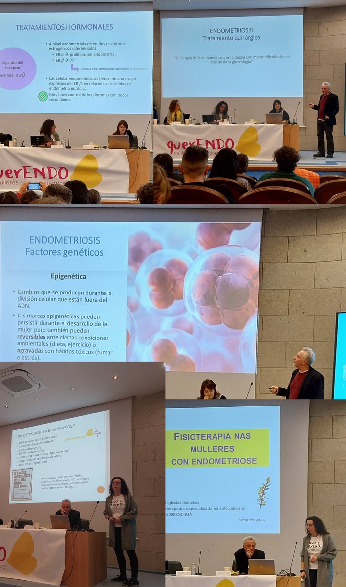 Xornadas centradas nos tratamentos e na fisioterapia de solo pelviano. 
Nuns días estarán volgadas as charlas na nosa web.
💛
#stopendometriose #sanidadesennesgodexénero #sanidadepúblicadesanidade