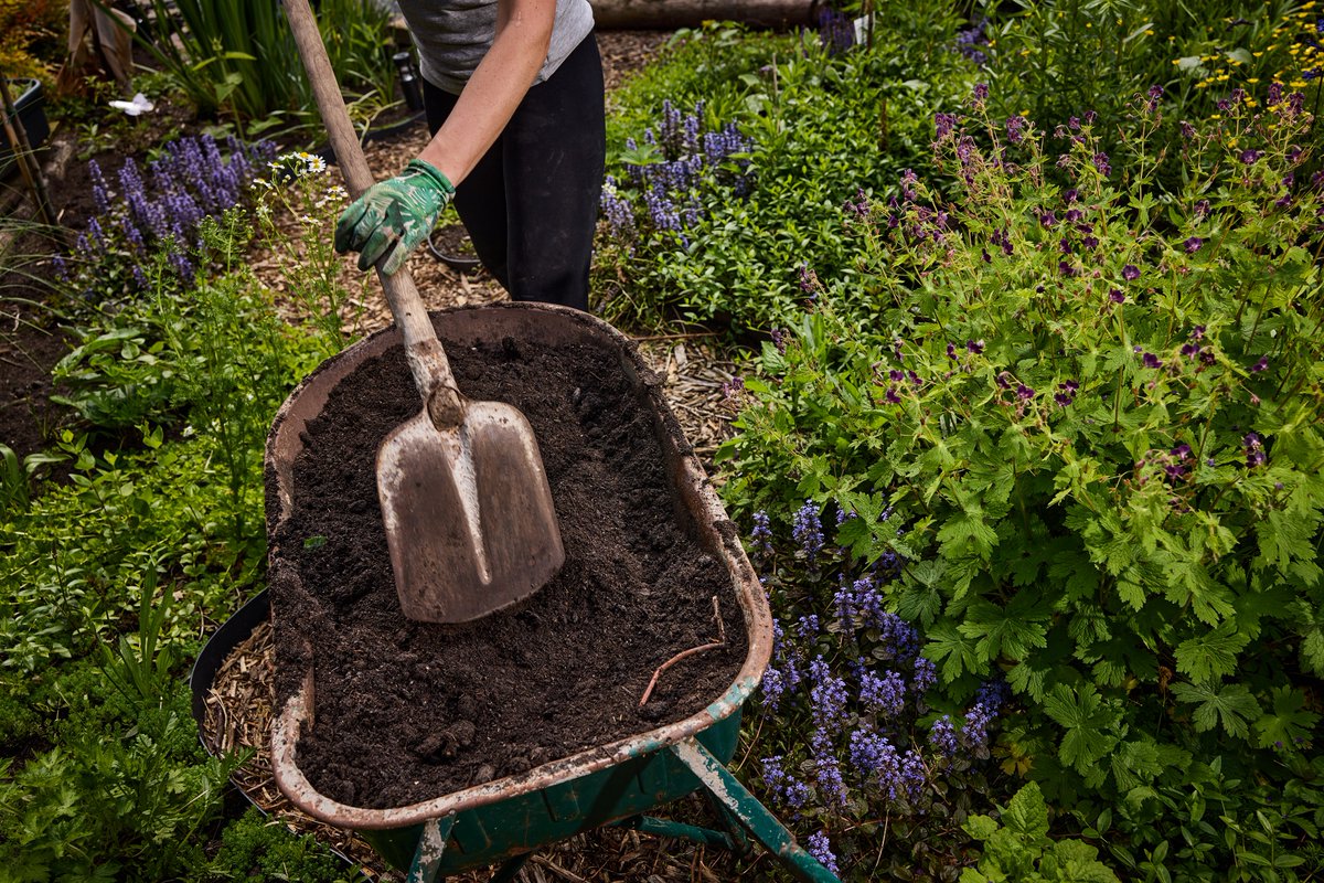 Op zaterdag 23 maart kun je bij één van de 7 milieuparken gratis een zak compost ophalen. En van 18 t/m 23 maart ook op andere plekken in de stad. Door compost te gebruiken help je de planten beter te groeien en bloeien. 

Lees meer: rotterdam.nl/gratis-compost…