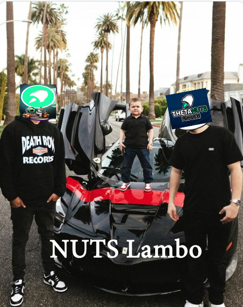 Long Call, Short Put – sounds like a complicated math problem. I'll stick to thetanuts for my brain fuel, thank you very much go thetanuts finance trading now get $NUTS to the moon rocket, get Lambo