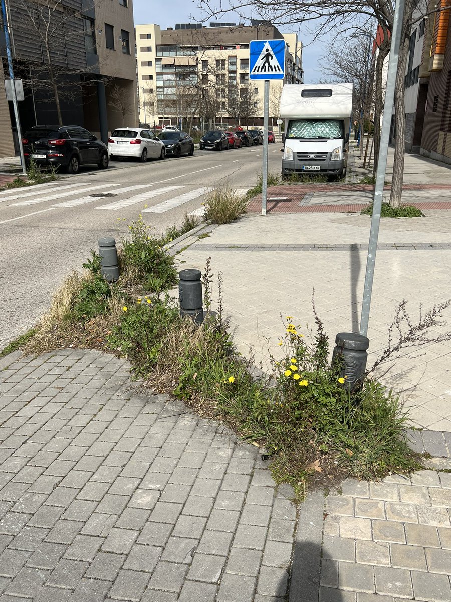 raulmat75's tweet photo. @AytoLeganes @vbonetatienza @CarlosULEG Nuevas plantaciones de arbustos 🌳🌴en 📍c/Tierra con c/Dragón . La gran mayoría de las calles en #Solagua están así. Tomen nota 📝 y resuelvan la incidencia. https://t.co/KzoowVc2Op
