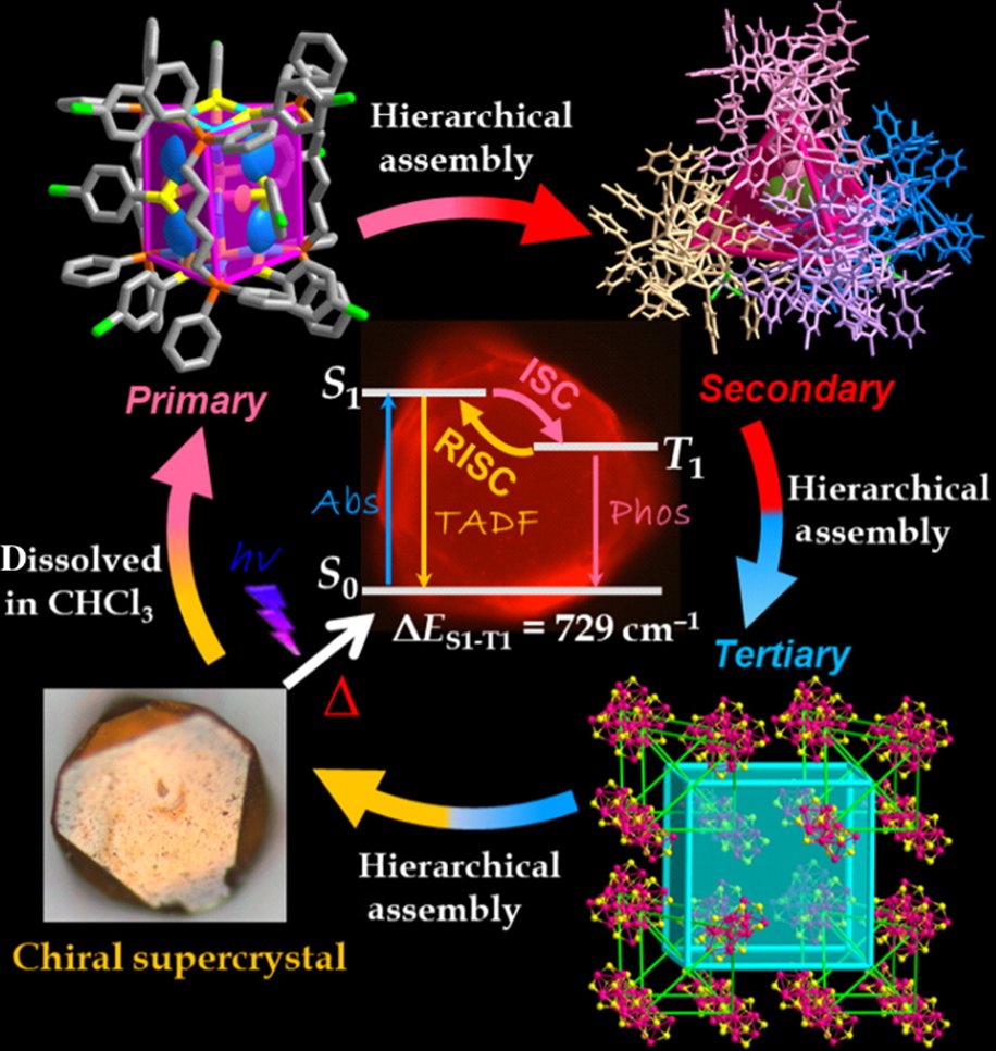 Hierarchical Homochiral Assembly of Polyhedral Cage-Type Nanoclusters
@DiSun83 @ShandongU 

doi.org/10.31635/ccsch…