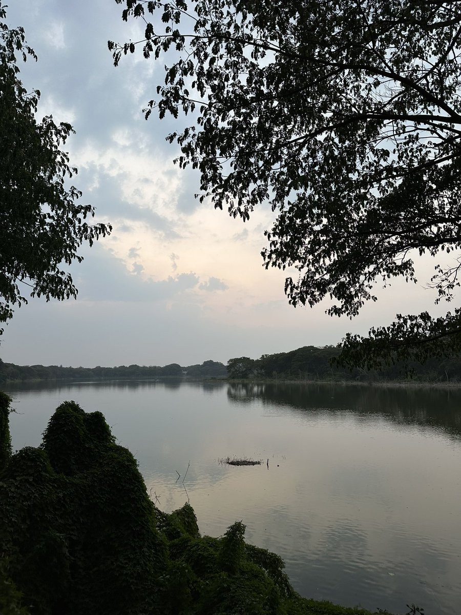 Mysuru Evening at Kukkarhalli Lake 🤗
#Mysuru