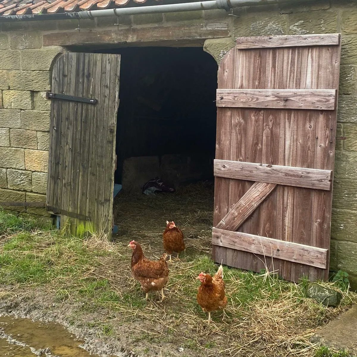 A fun day out in Farndale yesterday with WI friends!
Wonderful scenery &amp; wildlife &amp; plenty of mud!
#Farndale #WI #friendship
