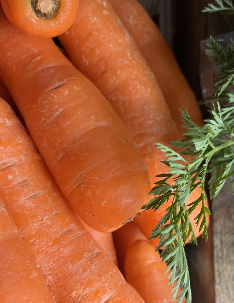 Country Crest FS tweet media