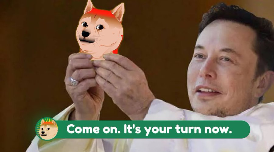 🎉每一个梦想都需要坚持，#SOLDOGE 不仅顺应了加密货币浪潮，也会带领我们一起见证奇迹，今晚八点公布预售地址，捐赠超过1万枚SOL截止。

🎁40万枚代币 &amp; 5人

1.关注：<a href="/SOLDOGE_coin/">SOLDOGE</a>  &amp; @cryptofoxgo 

2.点赞+转推+留言SOL地址