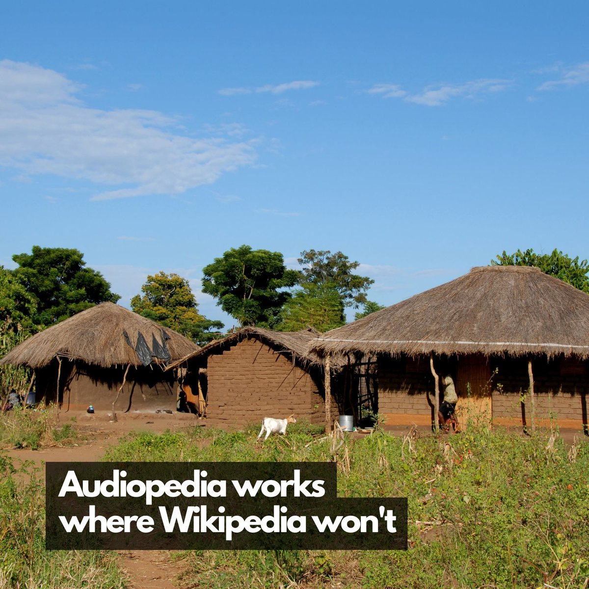 audiopediaorg's tweet image. In places where literacy is a luxury and tech is scarce, #Audiopedia is the bridge to knowledge. 🌍 Wikipedia can&apos;t reach where electricity and internet don&apos;t exist, but we can. Let&apos;s connect and enlighten. 🌐🔦 #BeyondTheDigitalDivide #AccessibleKnowledge