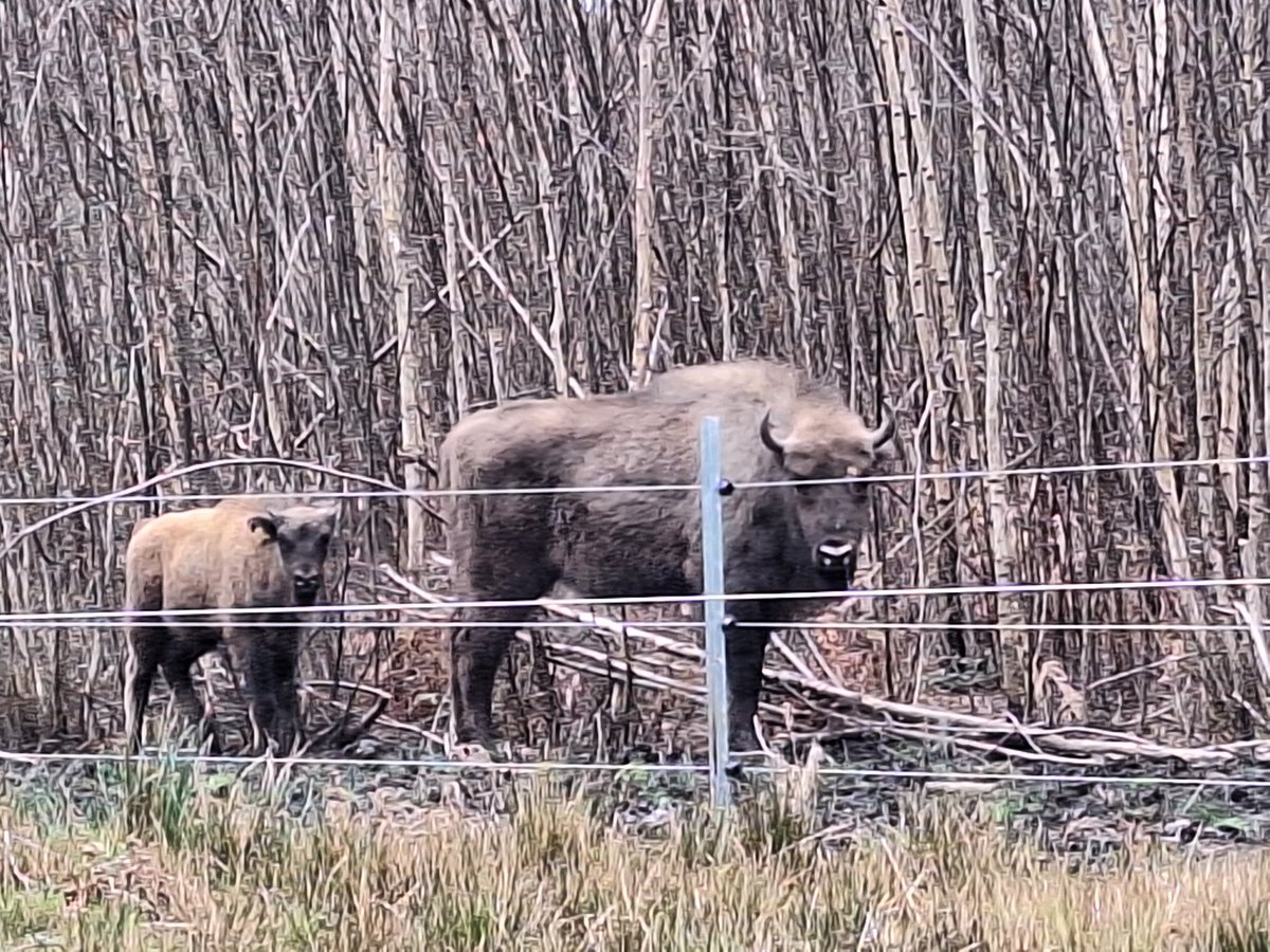 Dr Marta PerezFernandez tweet media