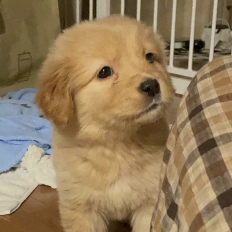 takemybear 🐶 tweet media