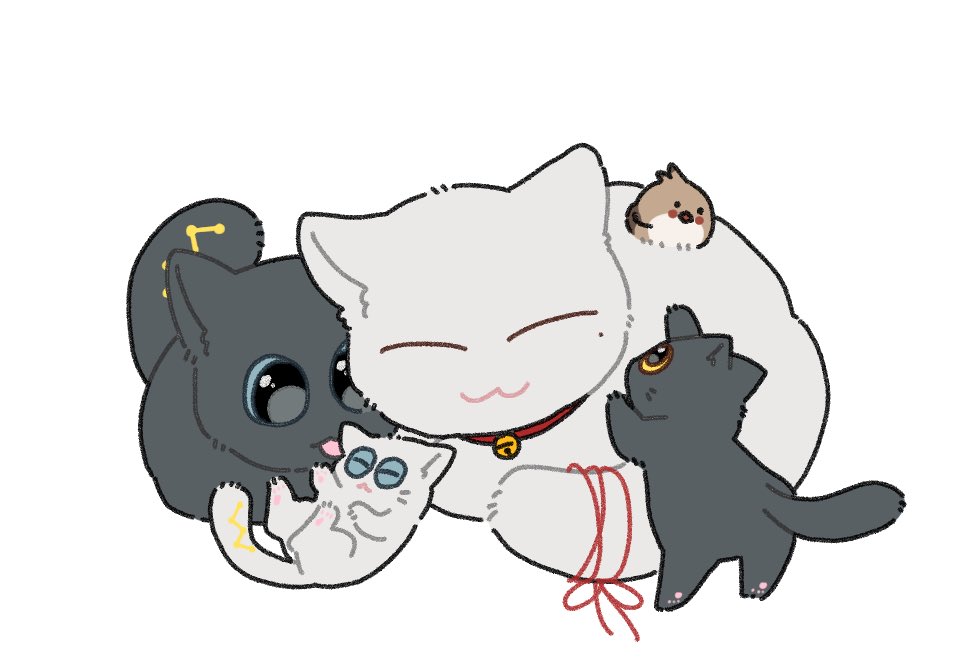 이분의 냥이들이 너무 기여워 CUTE