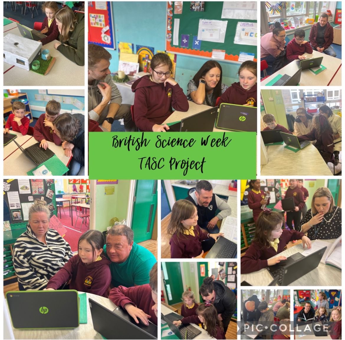 Illtyds_RC's tweet image. After an enthusiastic and informative week our Key Stage 2 scientists were very excited to share their #britishscienceweek2024 projects with their parents/carers.
@Psqm_HQ 
@STEMpwdLearning
@CSC_RARSMerthyr
#ScienceIsAwesome