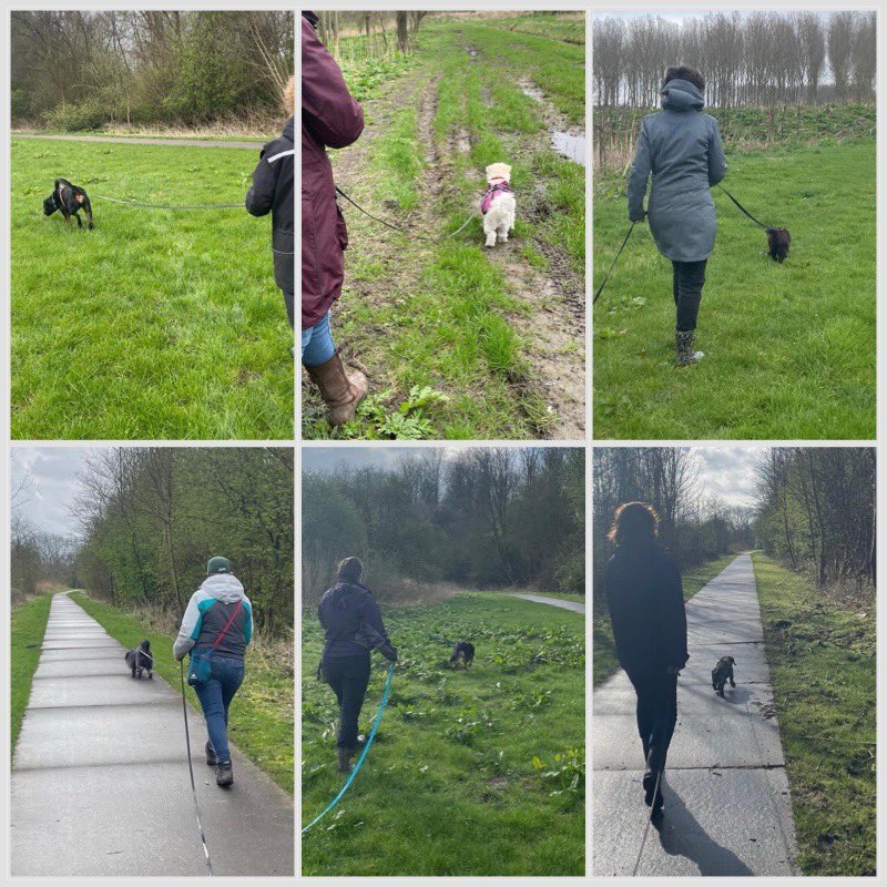 instagram.com/p/C4kux1wIR8W/…