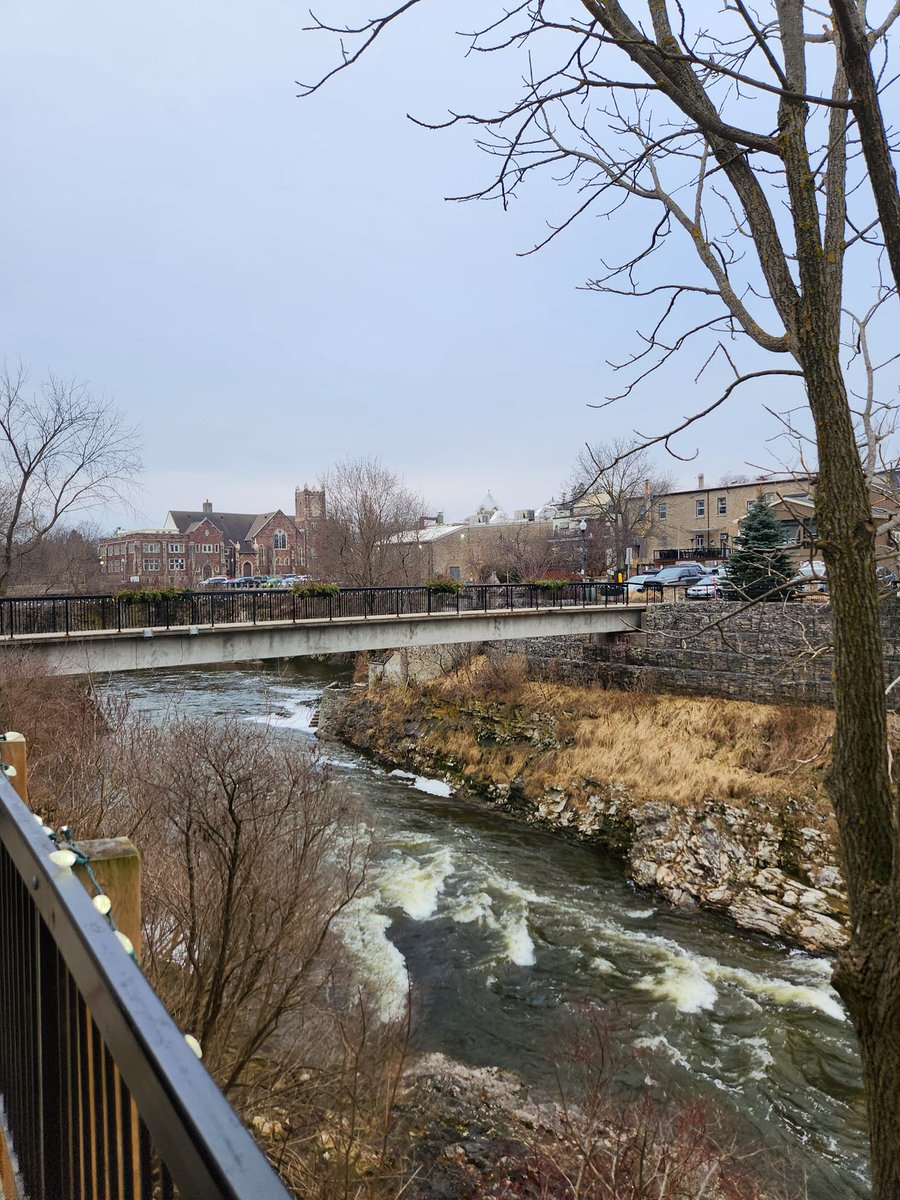 AMDaveintheAM's tweet image. Come for the view, stay for the food. Delicious! The Goofy Newfie in #Fergus. I'm stuffed.