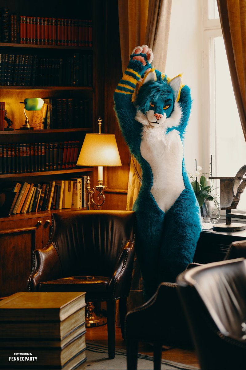 Forget the book, I'm the real page-turner 📚 🕯️ 📸 @FENNECPARTY