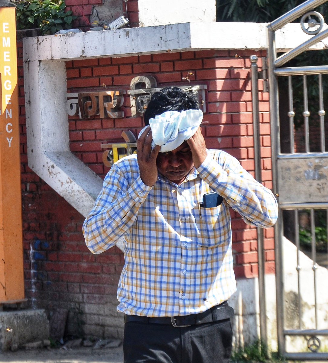 ManpritManni777's tweet photo. #बरेली के गांधी उद्यान में मधुमक्खी के हमले से मची भगदड़, जिसमे कई लोग हुए घायल तो कुछ हुए बेहोश।🐝
@dmbareilly @bareilly_nn @UmeshGautamBJP
#bareilly #bareillyfeed #BAREILLYNEWS #park #bee #honeybee #attack #photo #manpreetsinghmanni https://t.co/fLI1ETPzTJ