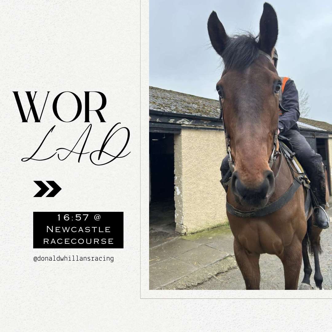 🏁Race Day🏁 We are headed to @NewcastleRaces ⏰ 16:57 🐎 WOR LAD 🐎 ⚡️ Craig Nichol in the saddle 🔑 For Dodds & Robinson 🤞🏻 Good Luck Team 🤞🏻