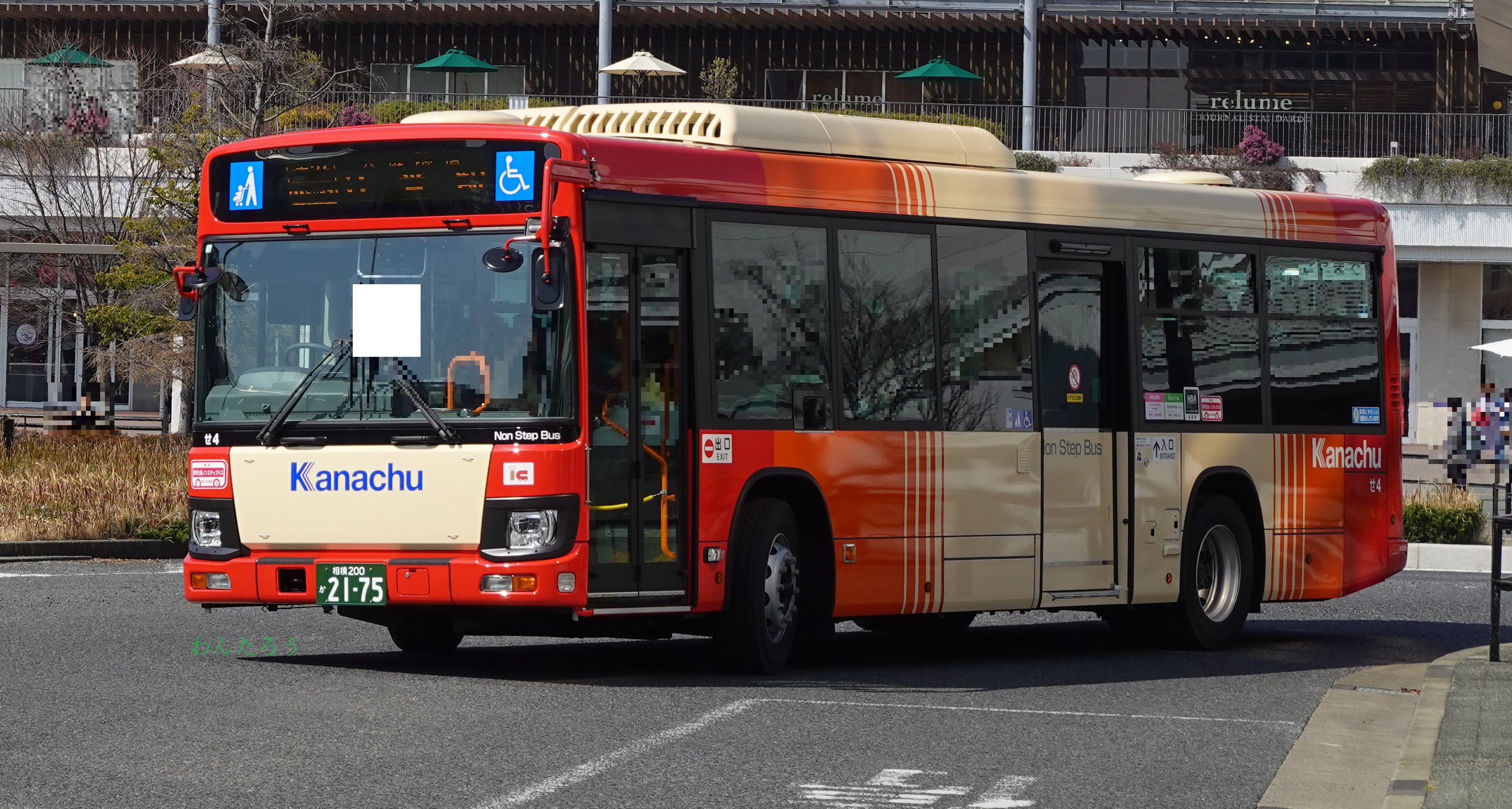 山の猫2。。 F3号キャンバス