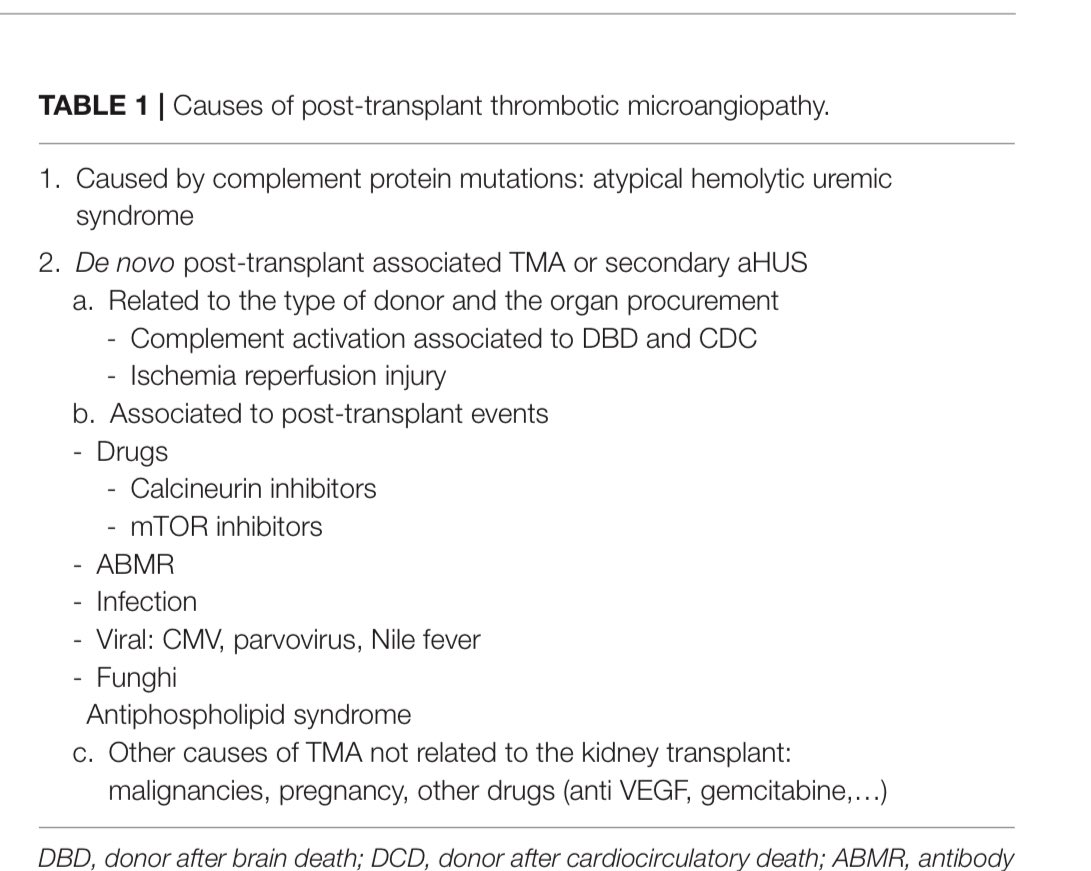 JasmineNephro's tweet photo. 👇Approach and management of post transplant TMA 🫘

At Kidney Transplant update  @drshyambansal https://t.co/qzeHNKJ41e