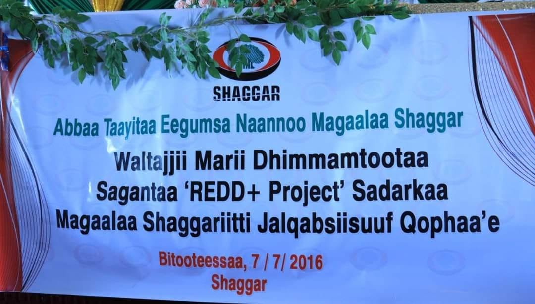 Today, we launched the #REDD+ project as a Shaggar City Administration with concerned stakeholders. We are pleased to inaugurate this initiative in Shaggar City. Together, we shall contribute significantly to mitigating climate change! #Ethiopia #ShaggarCity
#ClimateActionNow