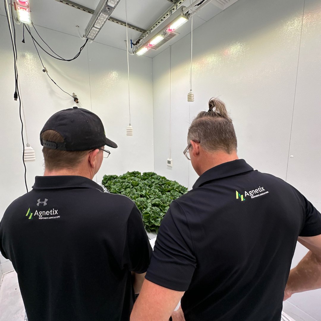 AgnetixLed's tweet photo. With Agnetix LED Lights, you can almost see your lettuce growing right in front of you! Their unparalleled efficiency brings your indoor farming vision to life, faster than ever. #AgnetixEfficiency #RapidGrowth #LEDRevolution https://t.co/7wIFQTsQbu