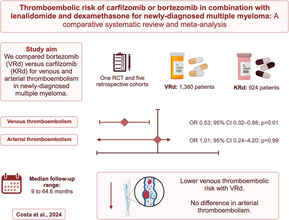 🔊 Exciting news! Our latest research on myeloma-associated thrombosis is now published in @AjHematology: doi.org/10.1002/ajh.27… We found that the addition of carfilzomib as compared with bortezomib in Rd-based triplets for NDMM significantly increased the risk for VTE events