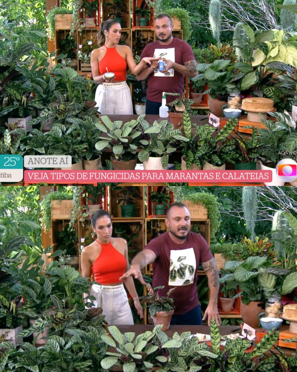 DEU BOM! Gosto da sintonia da Talitha Morete e do Murilo Soares no quadro “Viva o Verde” no É de Casa da Globo. Não sou a pessoa mais interessada em assuntos de plantas e jardinagem, mas sempre fico curioso em acompanhar o quadro quando começa. Dicas super legais e papo