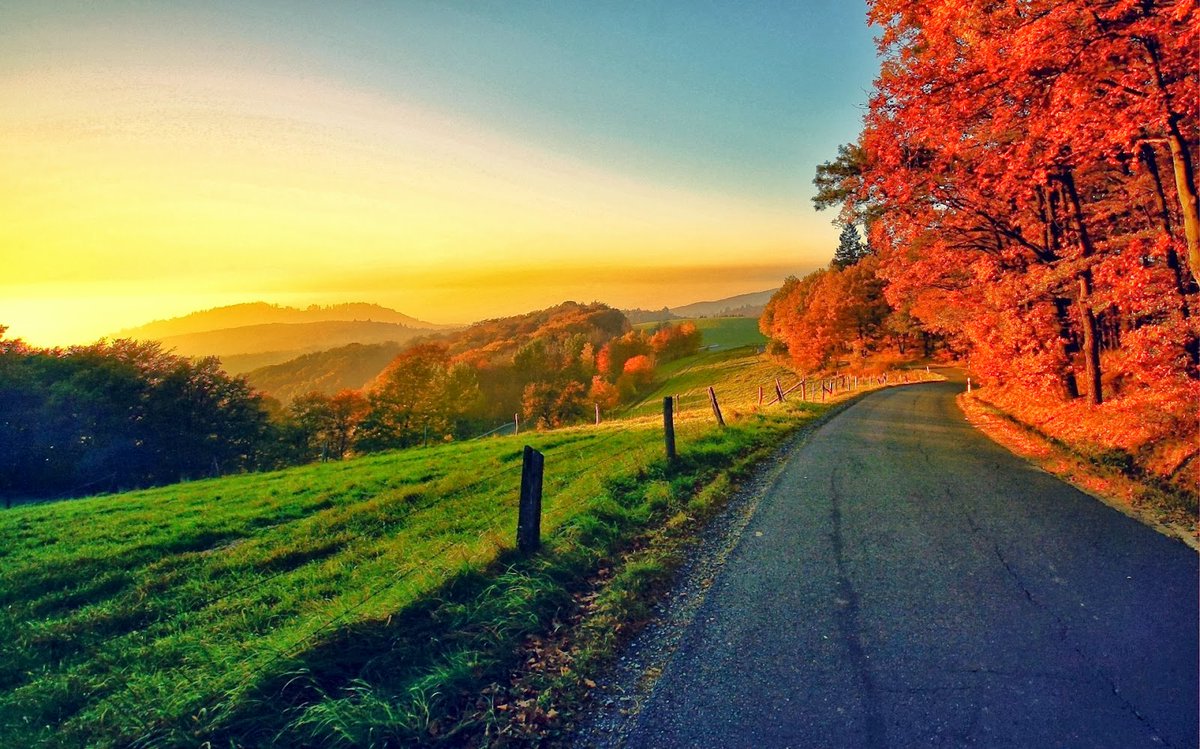 claudio vrigilio  tweet media