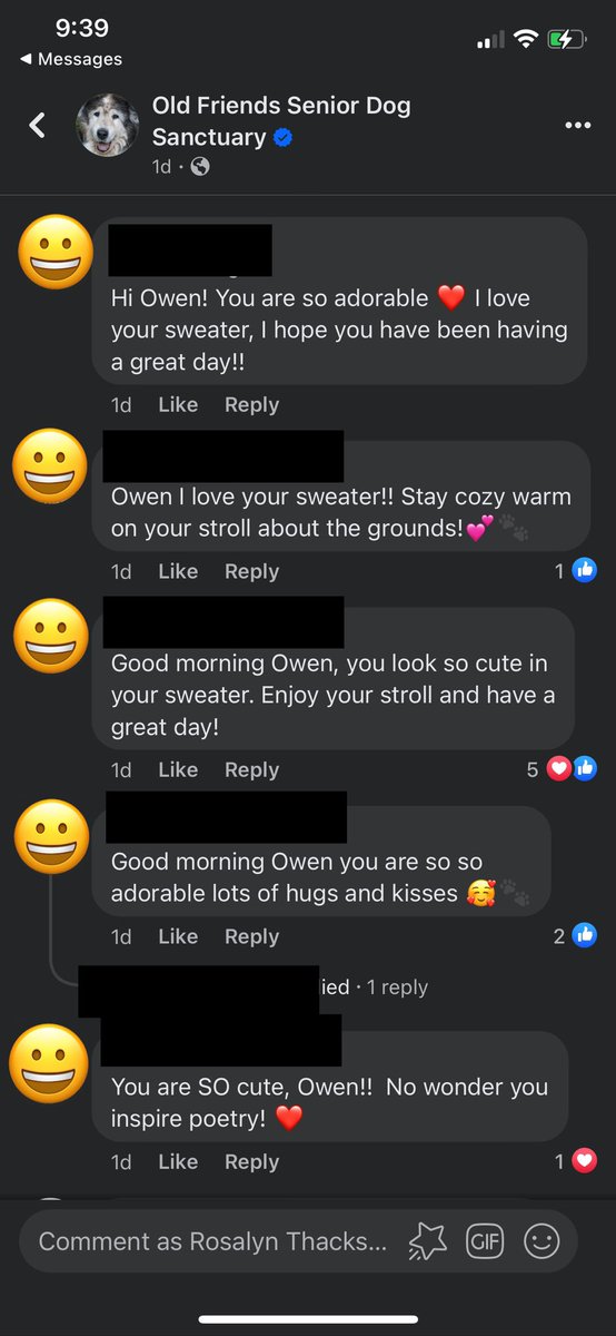_Rozumite_'s tweet photo. Having a dog for the first time has truly broken my brain because I now feel such KINSHIP with these middle-aged women commenting as if Owen will see and read their words!! https://t.co/8D5JrR629E