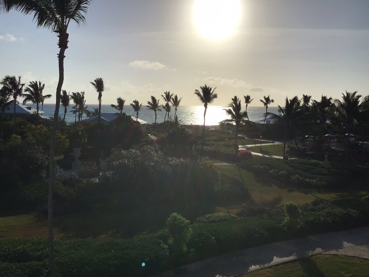 bottabing's tweet image. Good morning from the Bahamas, Exuma!