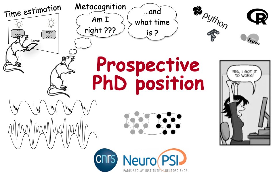 Tadeusz W Kononowicz (@t_w_kononowicz) on Twitter photo Prospective PhD opportunity on Timing and Metacognition in Rats at <a href="/NeuroPSI_saclay/">Paris-Saclay Institute of Neuroscience</a>. Longer description here: adum.fr/as/ed/voirprop… Contact me if interested ! Prospective PhD opportunity on Timing and Metacognition in Rats at <a href="/NeuroPSI_saclay/">Paris-Saclay Institute of Neuroscience</a>. Longer description here: adum.fr/as/ed/voirprop… Contact me if interested !