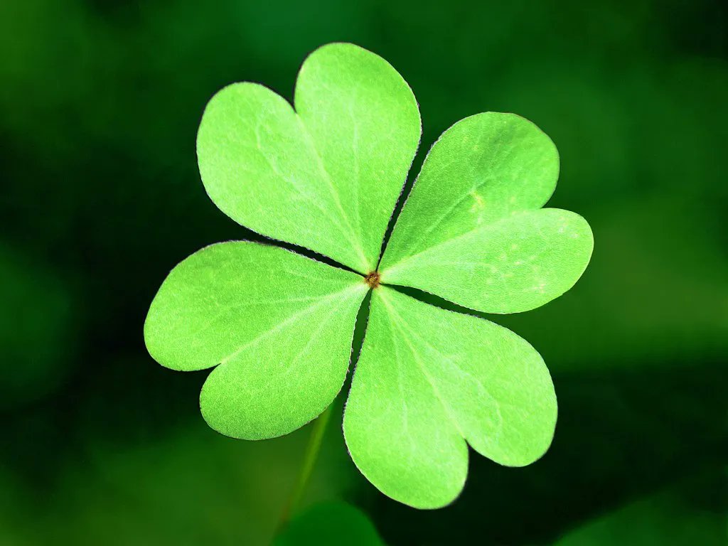 🍀 🍀 🍀 'Never iron a four-leaf clover, because you don't want to press your luck.'