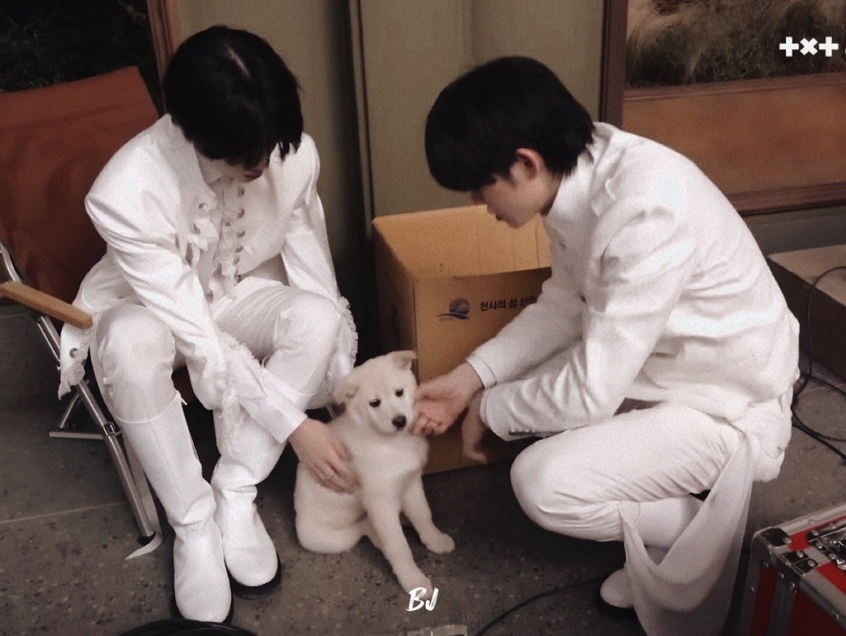 B1339J's tweet photo. 🐶🤍 https://t.co/4Epl7Jlndi