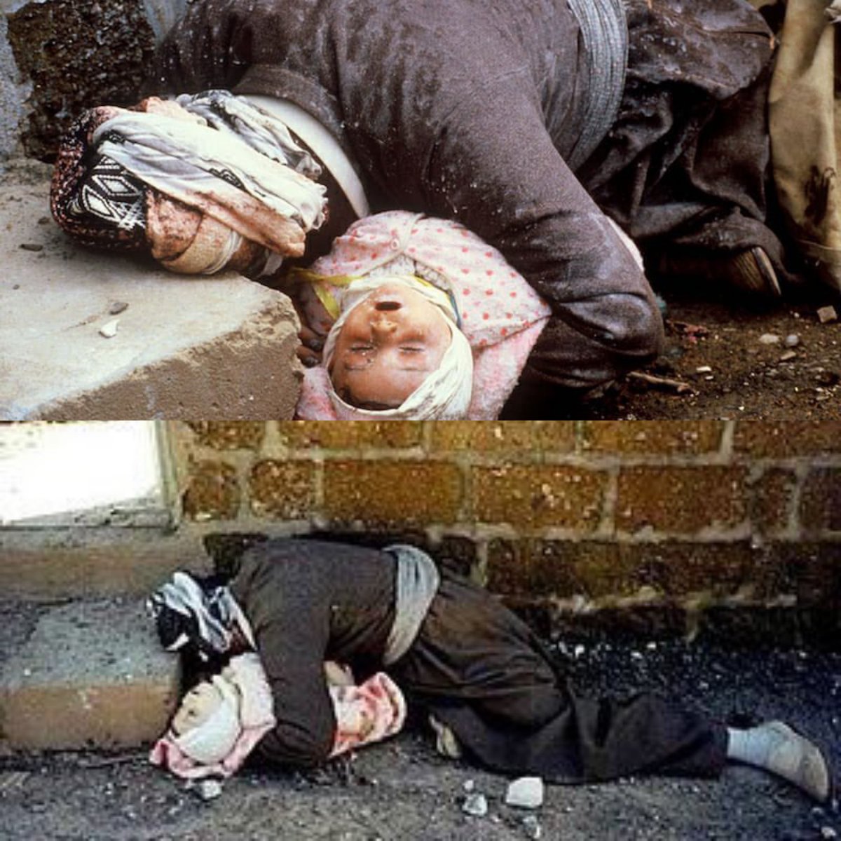 mnjj313's tweet photo. 16اذار ذكــرى جـريمـة #حلبچة     
  تشـهد لأيـام الزمـن الجـميل  
زمـن صـدام  هـذا ما يدعـونه بالزمـن الجـميل بـل هـو زمـن ملـعون وقـبيح قـد اســتبيحت بـه دمـاء النــاس الأبـريـاء. 

#مجزرة_حلبجة https://t.co/wyHE3zZHmV