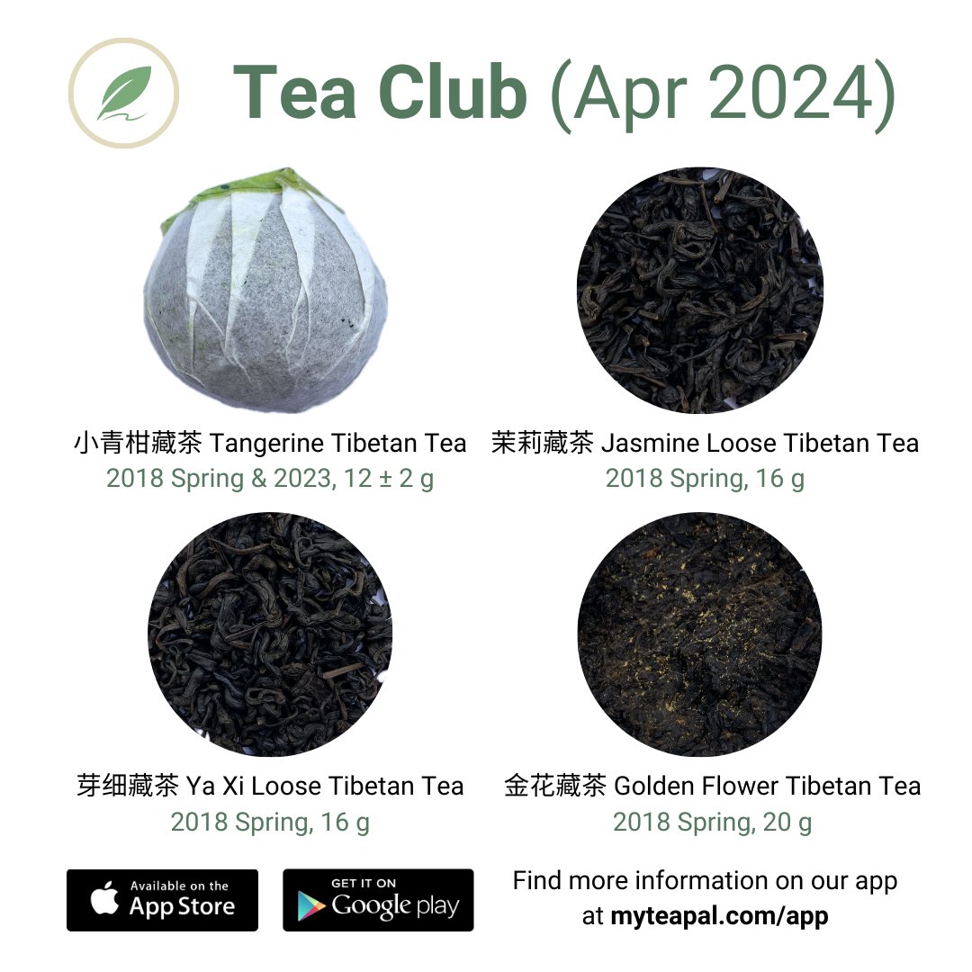 MyTeaPalApp's tweet image. Our 2024 April tea club features 4 Tibetan teas.  Join our tea club at myteapal.com/club

#myteapal #Tibetantea #ZangCha #藏茶 #Nanlubiancha #DarkTea #Heicha #黑茶 #teacommunity #gongfucha #gongfutea #teaclub #teasubscription #teasubscriptionbox