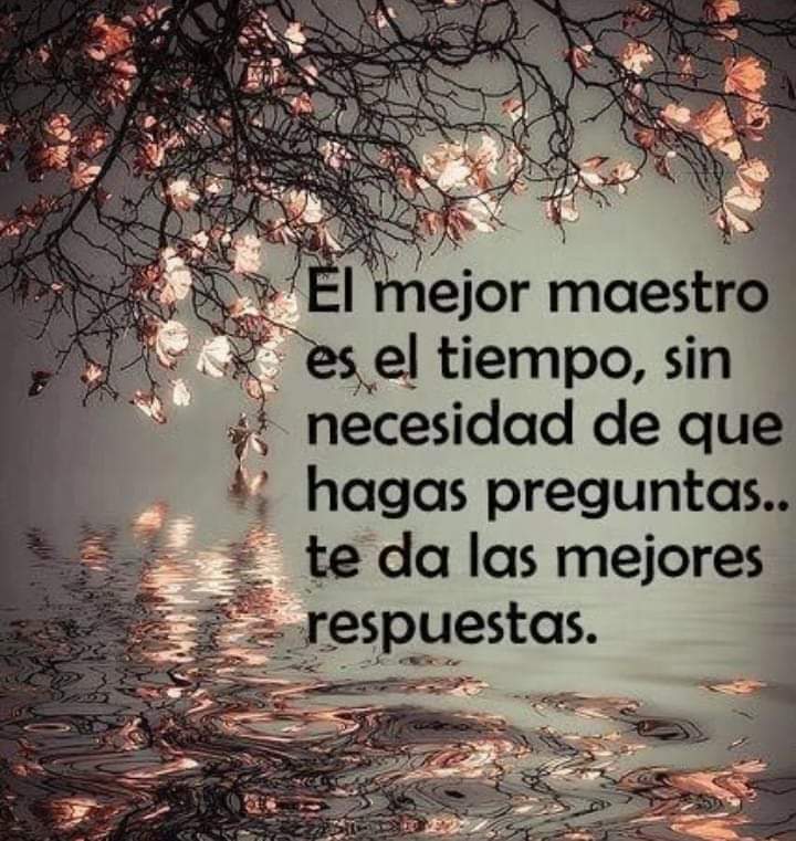 VidaEquilibrada (@vidaequilibrad4) on Twitter photo 